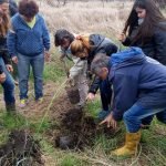 LOS PROYECTOS ASOCIATIVOS COMO MODELO DE DESARROLLO TURÍSTICO