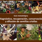 Diagnóstico, recuperación, conservación y difusión de semillas criollas