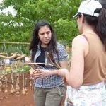 LAS PRODUCCIONES ARTESANALES EN EL NEGOCIO TURÍSTICO