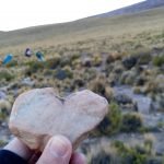TURISMO SUSTENTABLE EN LA AGENDA DE LOS CONSUMIDORES